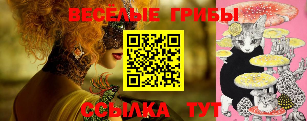 Аргун  Псилоцибиновые грибы Psilocybine cubensis  Вход с VPN 